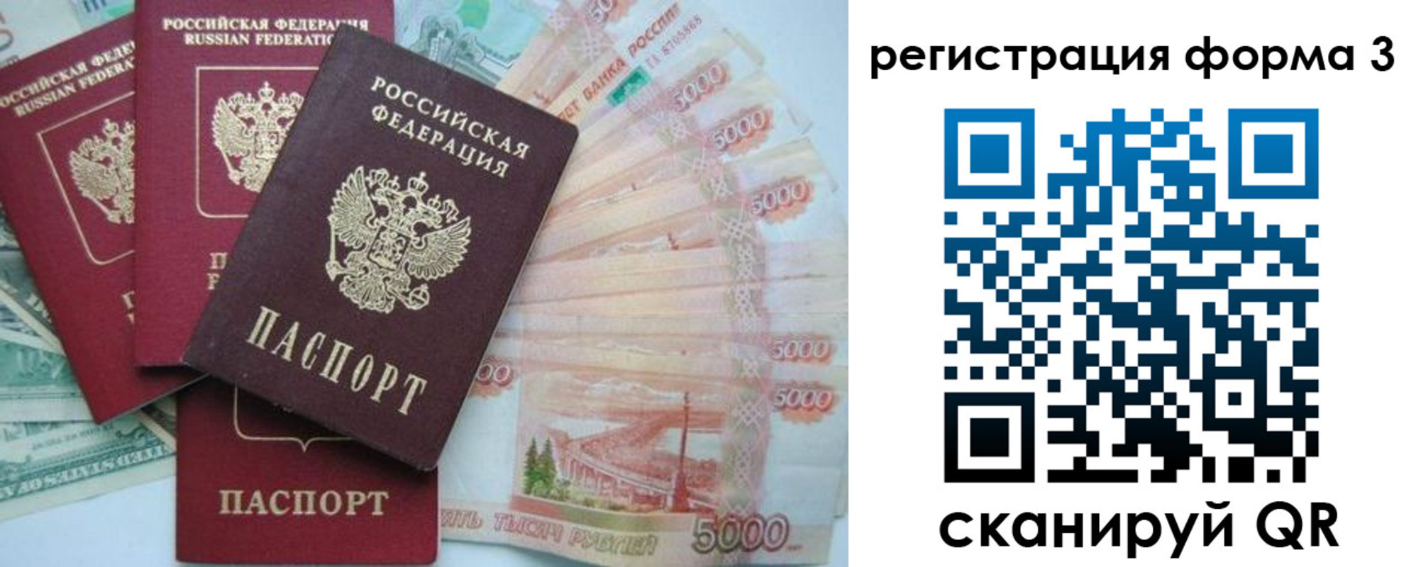 прописка для школы в Ростове-на-Дону
